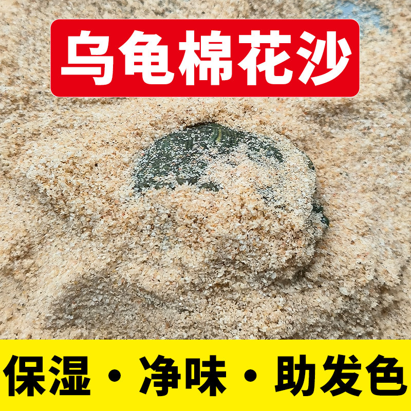 乌龟专用沙陆龟孵化产蛋冬眠棉花沙爬宠砂铺底甲鱼螃蟹原生细河沙