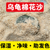 乌龟专用沙陆龟孵化产蛋冬眠棉花沙爬宠砂铺底甲鱼螃蟹原生细河沙