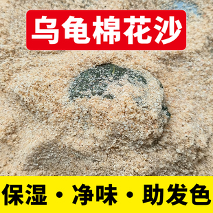 乌龟专用沙陆龟孵化产蛋冬眠棉花沙爬宠砂铺底甲鱼螃蟹原生细河沙