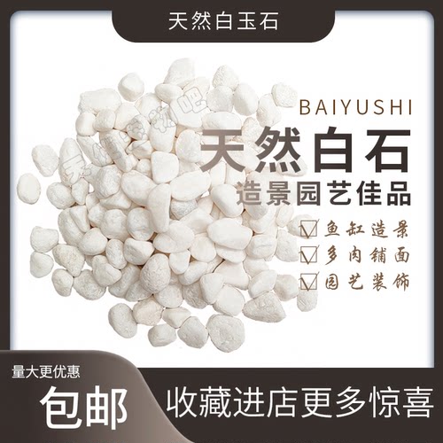 天然白玉石小白石头多肉铺面小石子鱼缸造景白石室外铺路园艺造景