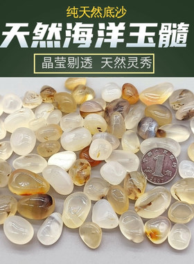 天然雨花石鹅卵石海洋玉髓鱼缸造景底沙多肉铺面花盆水培五彩砂石