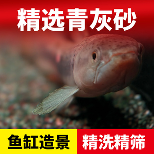 雷龙底沙灰青沙青红沙偏暗灰青沙青灰红沙雷龙专用原生鱼缸造景沙