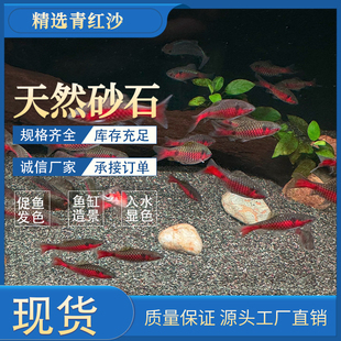 免洗青灰沙鱼缸沙子底沙造景装饰底砂水草龟缸石英南美缸雨林沙