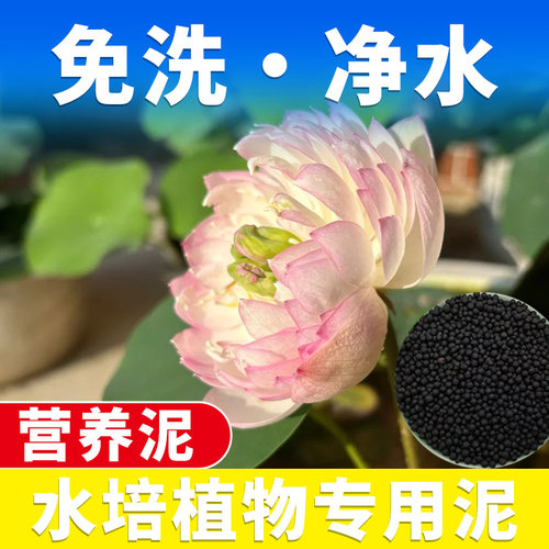 碗莲荷花水培植物专用营养泥水培营养泥专用水培养根养碗莲专用