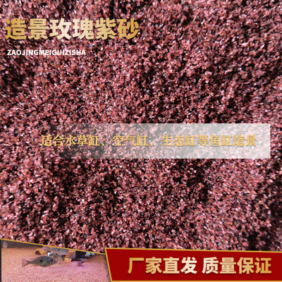 天然玫瑰紫沙水族鱼缸底砂鼠鱼底砂鱼缸造景细河沙免洗紫粉色细沙