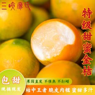 三峡廖氏新品上市甜蜜金桔1.2斤3斤5斤8斤超甜水果特产无耔金桔