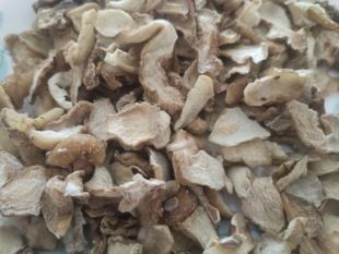 药食同源中药材野生黄精小片非大黄精片干黄精片可煲汤泡茶