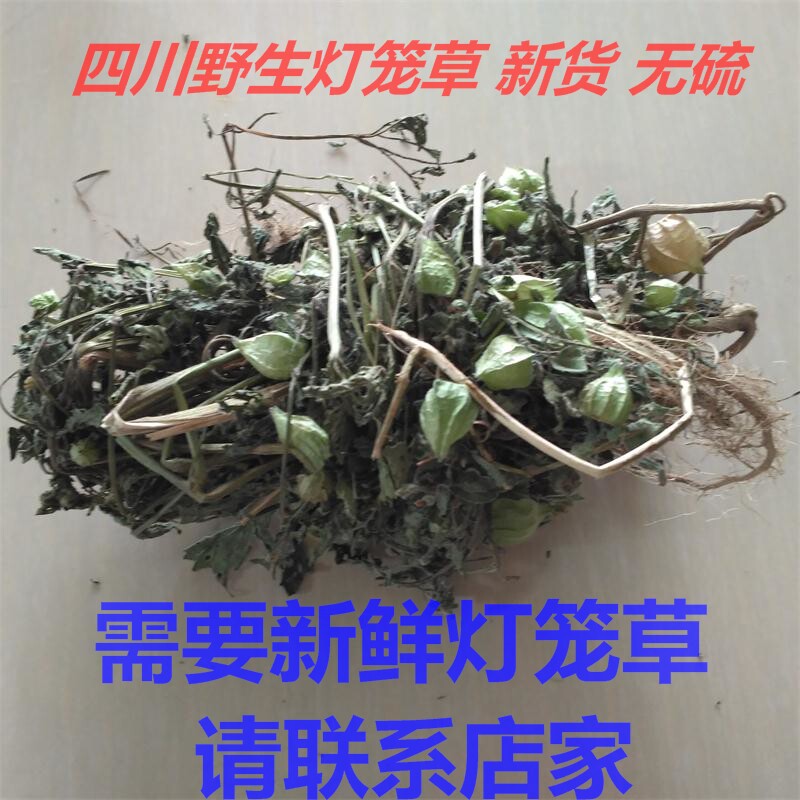 农家中药材新鲜晒干灯笼草打扑草天泡子挂金灯打额泡黄灯笼王母