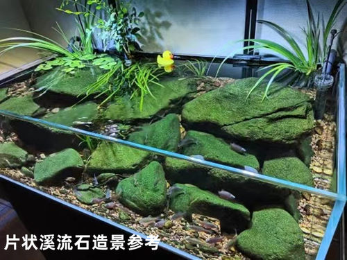 鱼缸造景沙石摆件铺底底砂天然原生溪流乌龟缸石水族箱溪流石专用