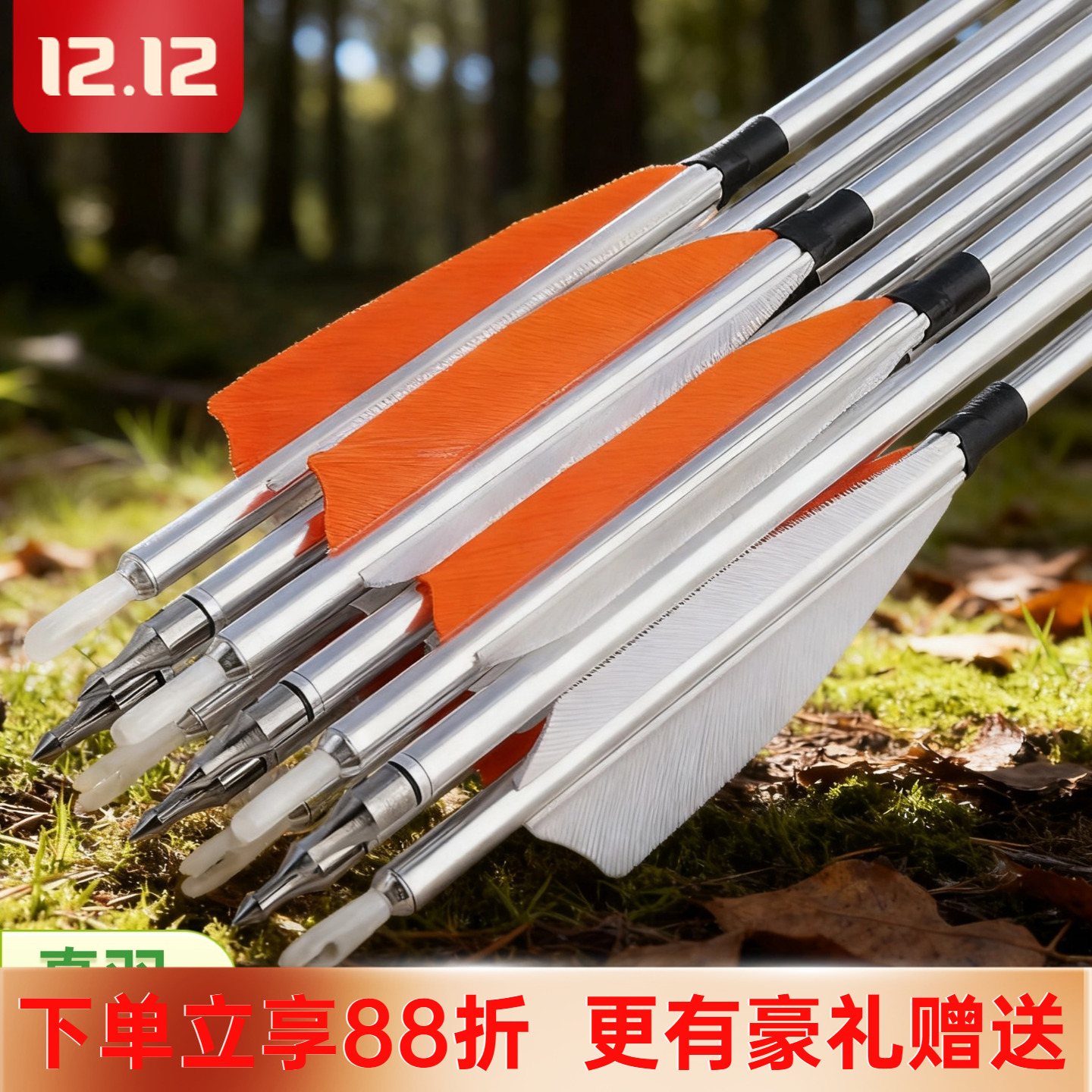 真羽铝箭铝合金箭支12支装