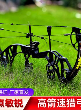 2026款顶点敏锐复合弓