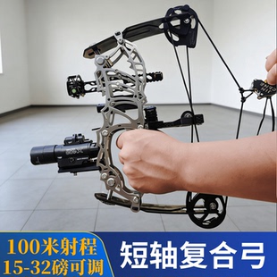 微型复合弓缩小版迷你弓箭成人大威力射箭弓射程远高精度滑轮弓箭