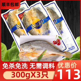 福建宁德三都港醇香黄鱼鲞新鲜大黄花鱼黄瓜鱼冷冻生海鲜水产特产