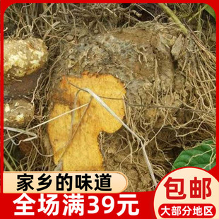 黄独煲汤500g福建寿宁土特产