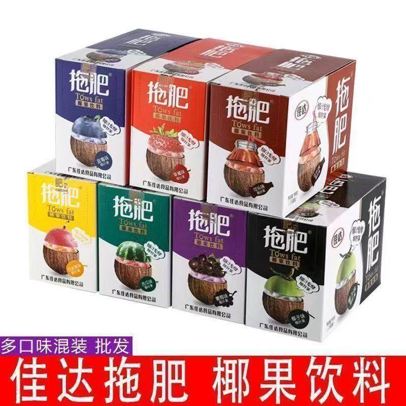 佳达拖肥60克椰果肉饮料经典怀果冻/布丁
