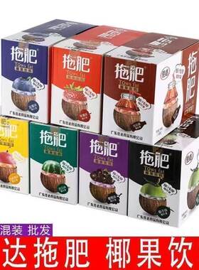 佳达拖肥60克椰果肉饮料经典怀旧零食托肥大袋夏季饮品多口味