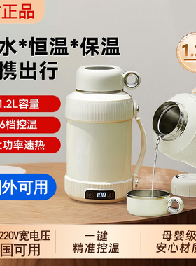 便携316不锈钢电热水杯110V-220V