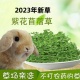 紫花苜蓿草兔子干草宠物兔粮龙猫荷兰猪豚鼠营养牧草主粮全国 包邮