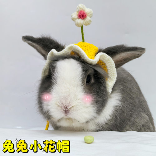 兔兔帽子兔子衣服配饰小花帽