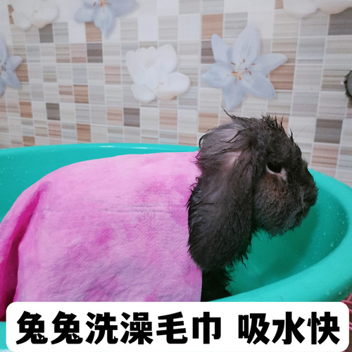 宠物洗澡毛巾快速吸水清洁用品