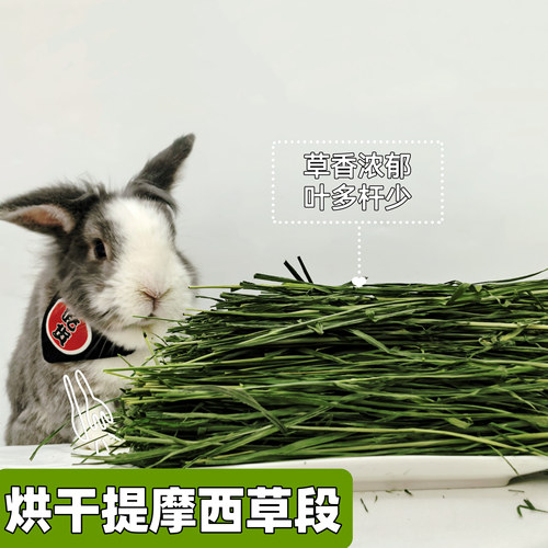 兔兔干草提摩西草段烘干型