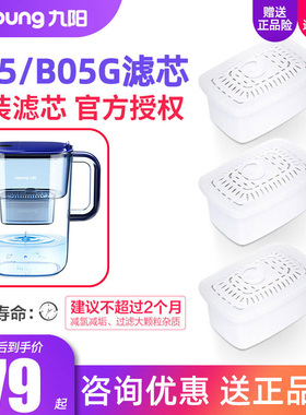九阳净水壶滤芯 JYW-B05/B05G滤芯 家用过滤水壶净水杯滤水器滤芯
