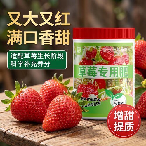 家用草莓生根膨果补钙镁锌铁硼