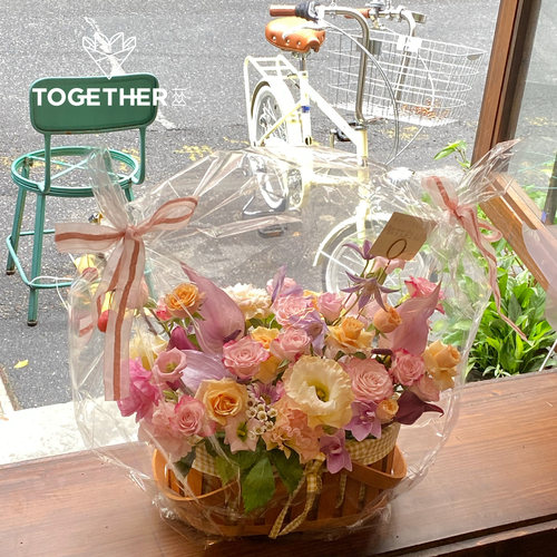 苁丛花束防尘袋透明袋