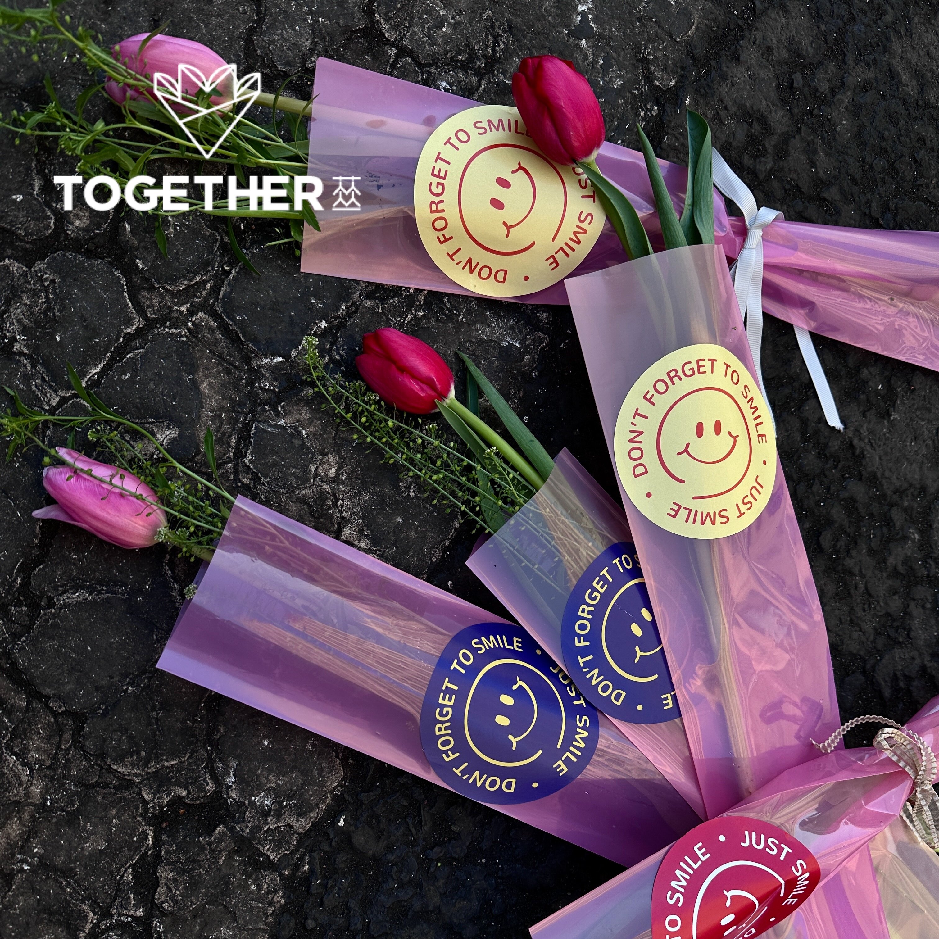 【3折特价】苁丛 原创 渐变opp透明防水单支袋 单只花包装袋