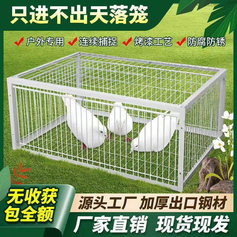 新款天落笼鸽子笼加厚加密自动收鸽子神器活络门撞门只进不出户外