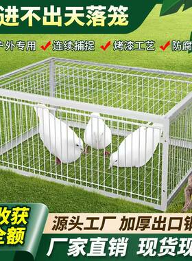 新款天落笼鸽子笼加厚加密自动收鸽子神器活络门撞门只进不出户外