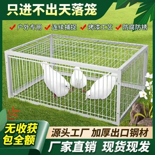 新款天落笼鸽子笼加厚加密自动收鸽子神器活络门撞门只进不出户外
