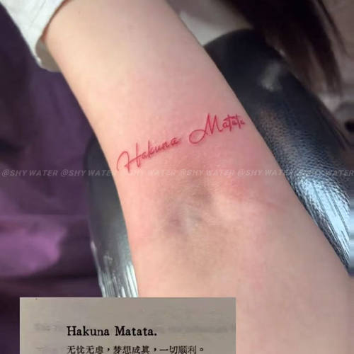 Hakuna Matata彩色纹身贴个性英文短句ins甜酷少女手臂防水持久酷