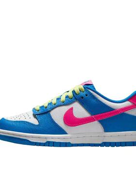 Nike/耐克 NIKE DUNK LOW BG大童板鞋IB7747-406