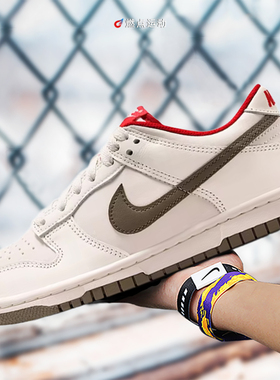Nike/耐克 NIKE DUNK LOW BG CN大童板鞋IQ9793-020