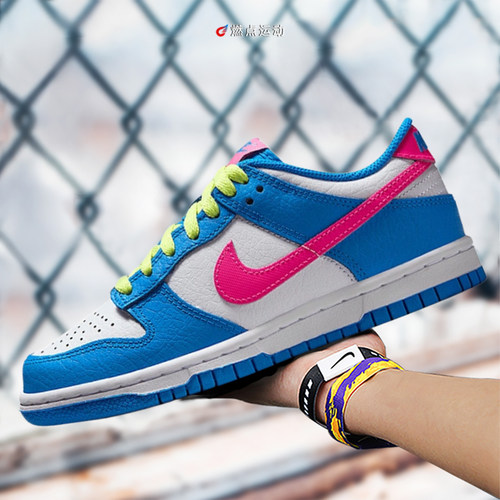 Nike/耐克 NIKE DUNK LOW BG大童板鞋IB7747-406