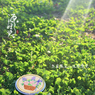 玫瑰秘鲁圣木香膏 限定款 10G 芳香系列 双12