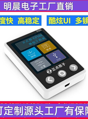 P100脱机下载器 STM32 STM8 N76E GD32 离线烧录编程烧写