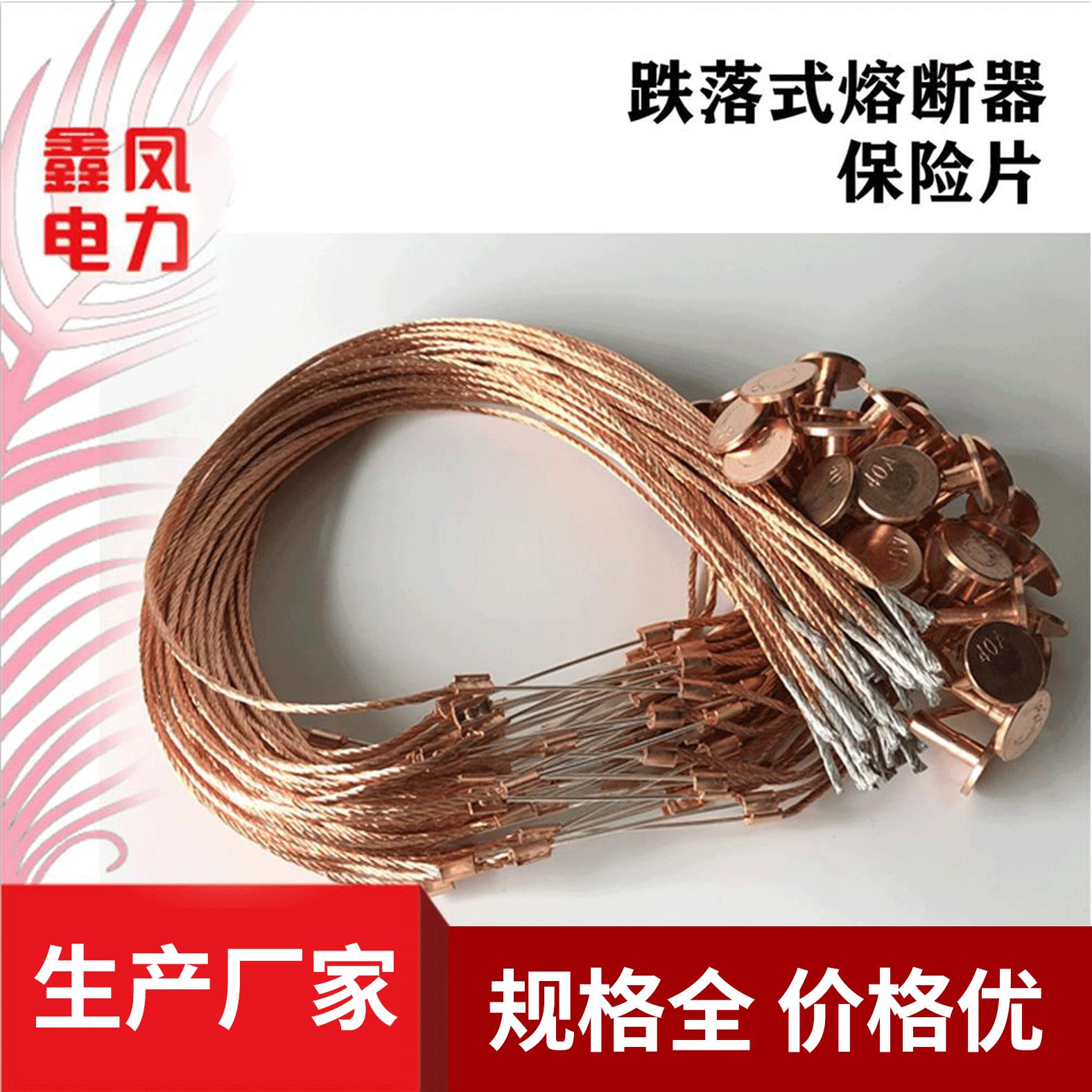 高压熔丝熔断丝10KV35KV熔断器用高压熔丝隔离开关保险片图片
