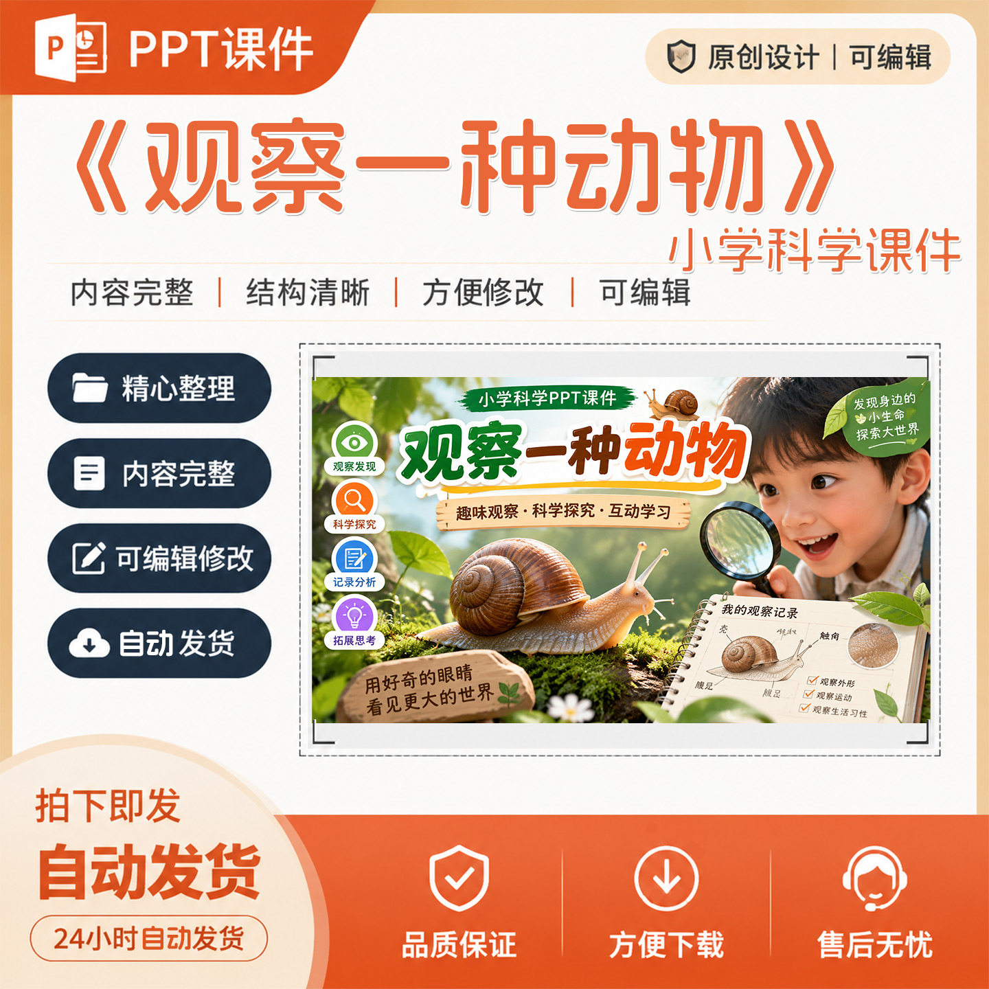 小学科学《观察一种动物》公开精品课说课教学PPT课件作品成品A31