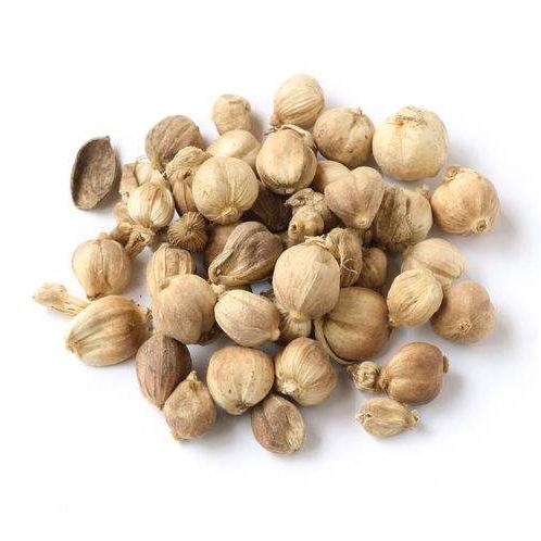 白豆蔻 1斤包邮 豆蔻 白豆蔻仁 壳蔻 白蔻 500g克 中草药材