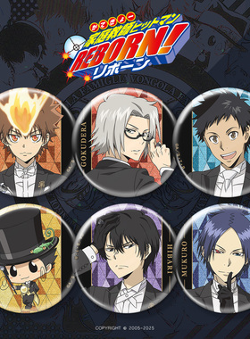 家庭教师Reborn徽章吧唧冰箱贴云雀六道彭格列动漫周边二次元谷子