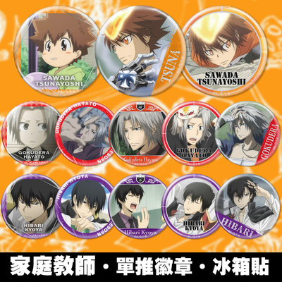 泽田纲吉吧唧冰箱贴图案清晰