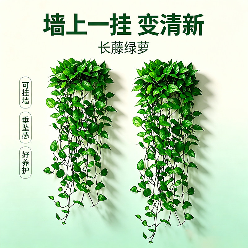 绿萝长藤盆栽客厅绿箩室内植物图片