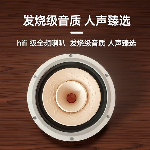 ST-8寸全频喇叭hifi发烧级高品质