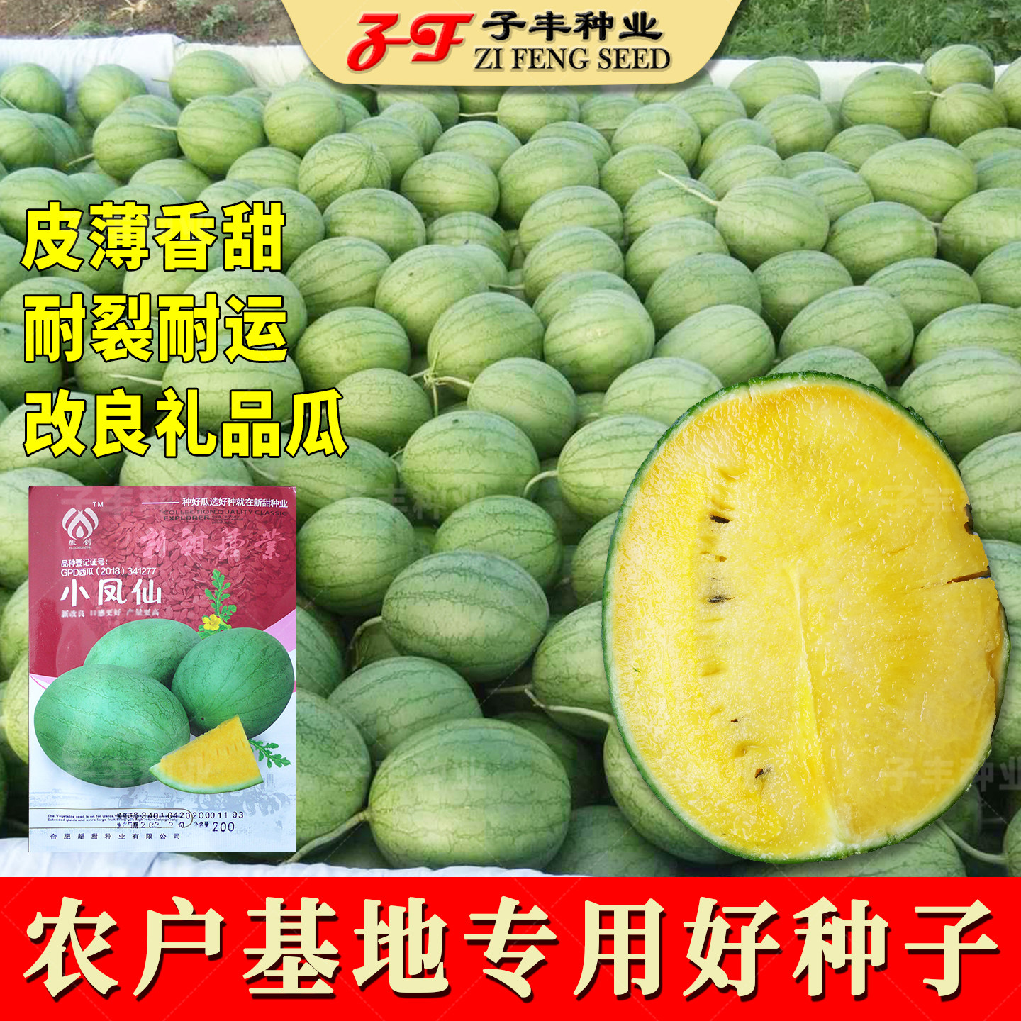 小凤仙西瓜种子改良黄肉礼品瓜春季秋季香甜皮薄黄瓤特小凤西瓜籽 - 实物图