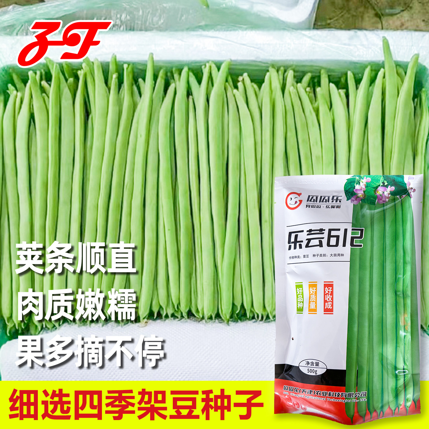 瓜瓜乐鲜嫩无筋四季豆种子图片