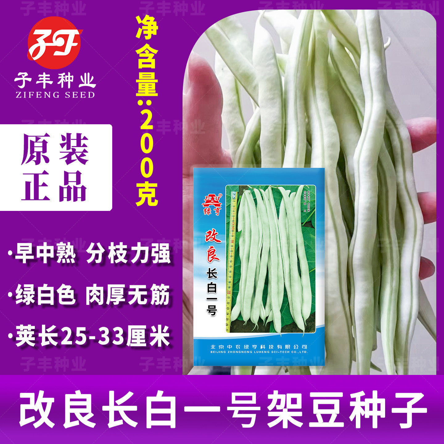 长白一号改良白不老架豆种子结荚更多豆荚绿白色春秋长扁菜豆种籽