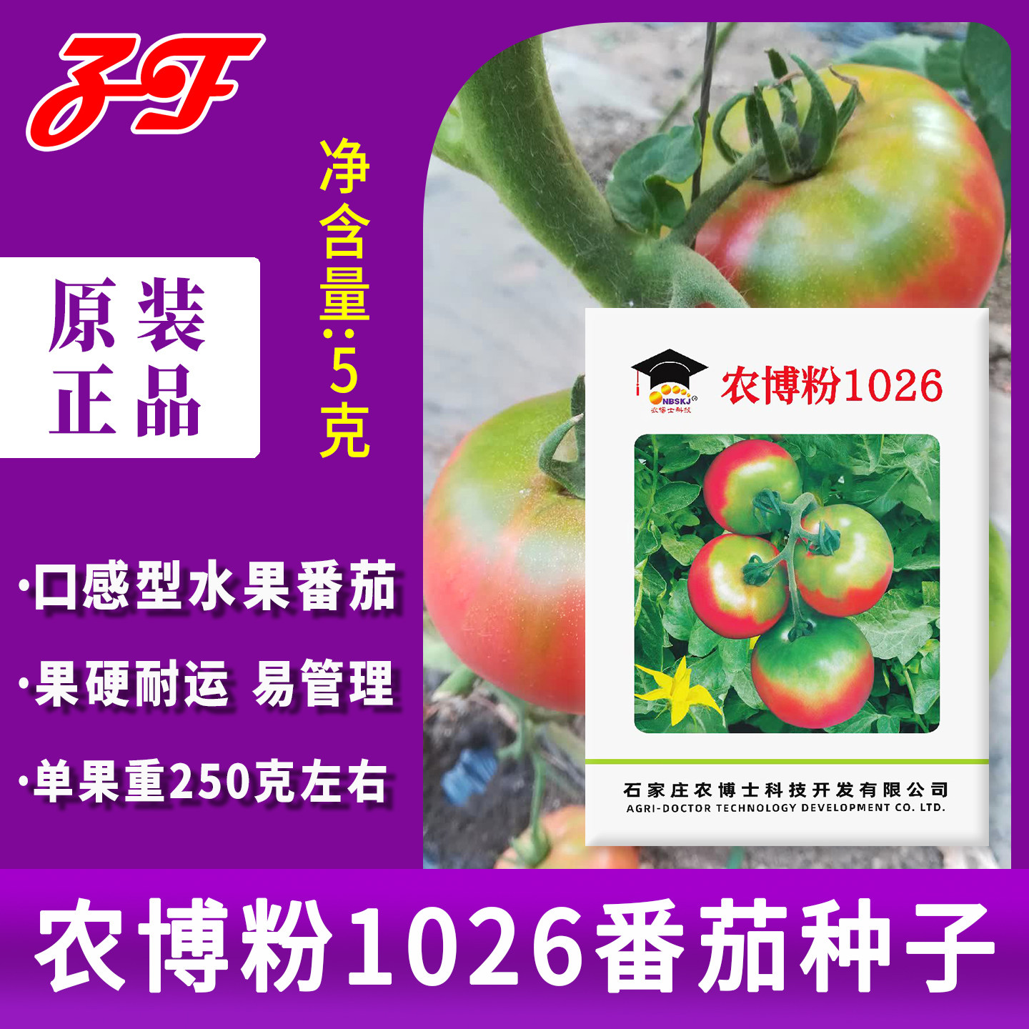 农博士西红柿种子早熟大果草莓番茄种子农博粉1026铁皮柿子耐低温