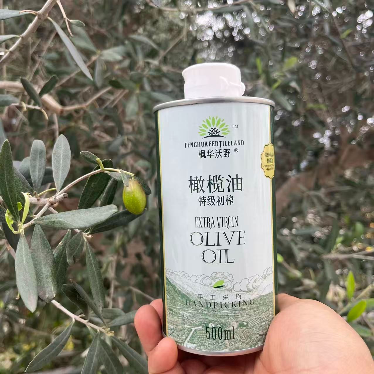 早收青果单一品种特级初榨橄榄油甘肃陇南产地物理冷榨500ml